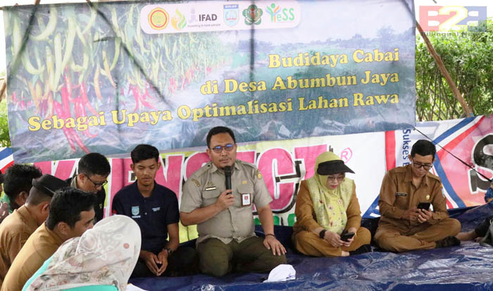 Optimalkan Lahan Rawa, Petani Muda Banjar Raup Laba Jutaan Rupiah dari Cabai