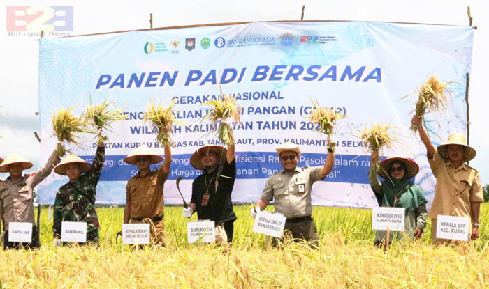 Ketahanan Pangan, Kementan Kawal Petani Muda Tanah Laut Panen Raya Padi Lokal