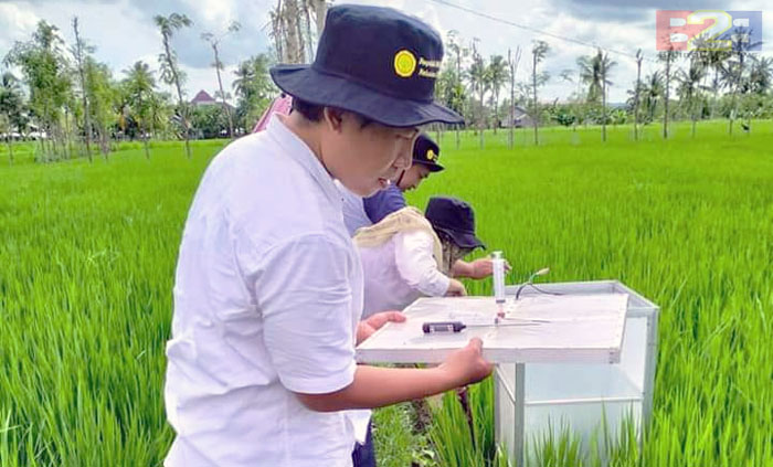 Indonesia Irrigation Development the Target of Government`s Loan Program