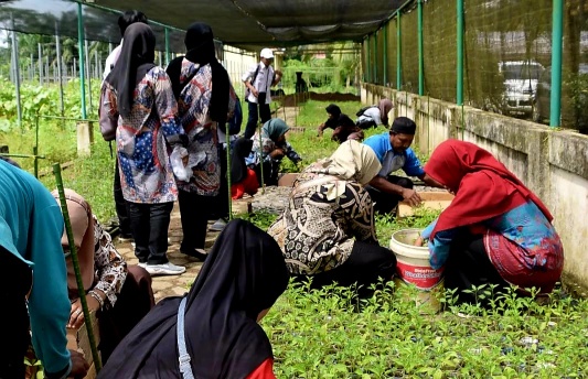Tekan Inflasi, SMK PP Kementan bagi Ribuan Bibit Cabai di Banyuasin