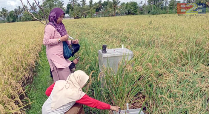 Petani & Penyuluh CSA NTB Berupaya Turunkan Emisi Gas Rumah Kaca 