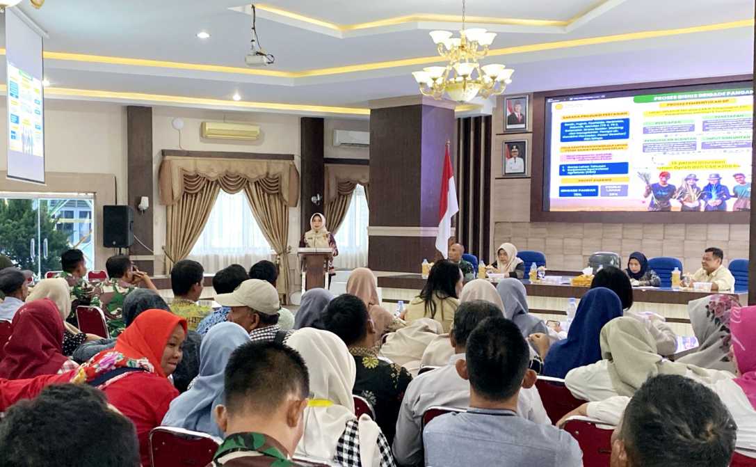 Dorong Swasembada Pangan, Kementan gelar Rakor di Langkat Sumut