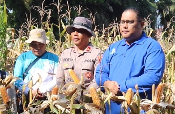 Kementan dan Polri lakukan Panen Bersama Jagung Pipil di Kota Banjarbaru Kalsel