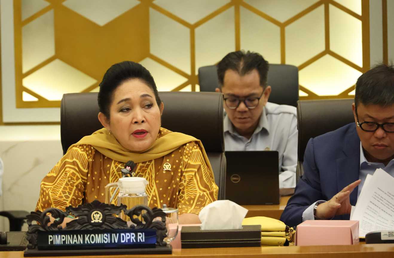 Ketua Komisi IV DPR RI: Sektor Pertanian terus Membaik di Tangan Mentan Amran<br><i>Millennial Farmers Development are the Target of Indonesia`s SMKPPN Sembawa</i> Millennial Farmers Development are the Target of Indonesia`s SMKPPN Sembawa