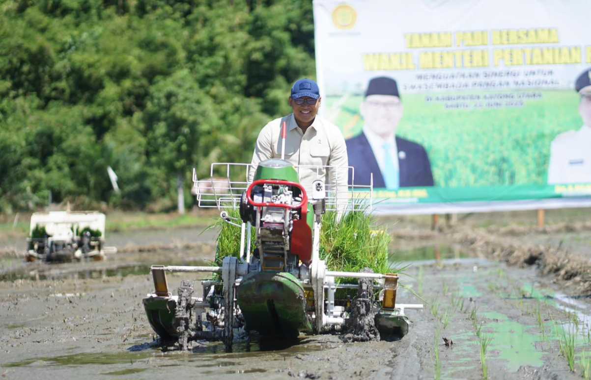 Wamentan Tanam Pakai Alsintan Modern, Produksi Padi Kayong akan Meningkat