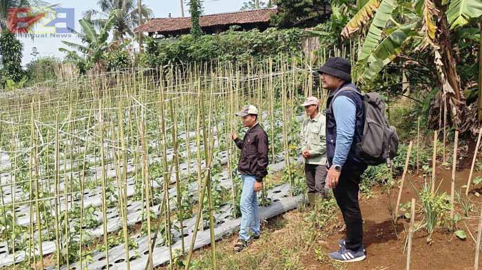 Kementan Verval 5 Kabupaten, Pastikan Penerima Manfaat YESS Tepat Sasaran