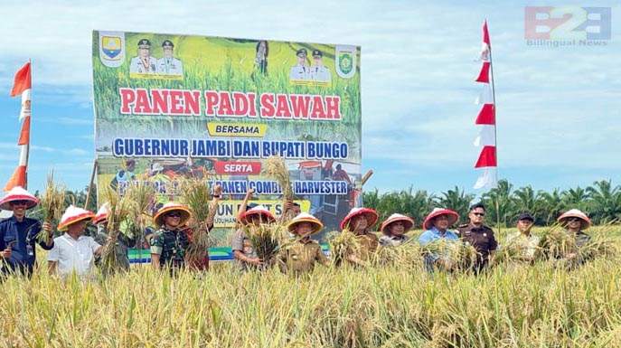Swasembada, Polbangtan Kementan dan Gubernur Jambi Panen & Tanam di Bungo