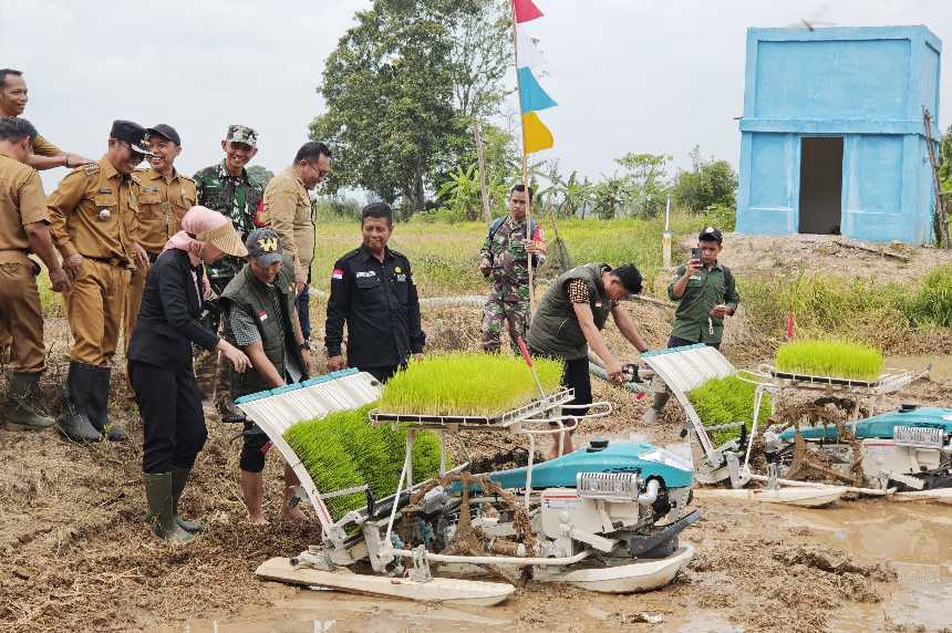 Brigade Pangan, Kementan Dorong Provinsi Sumsel Jadi Lumbung Pangan