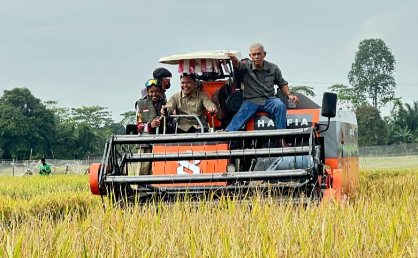 Panen Raya, Polbangtan dan Bapeltan Dukung Swasembada Pangan Jambi