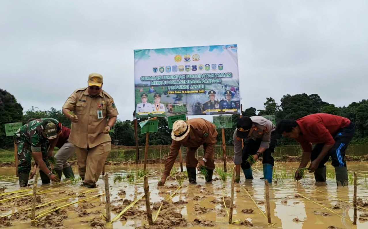 Polbangtan Kementan Dukung Gerakan Percepatan Tanam di Kabupaten Tebo