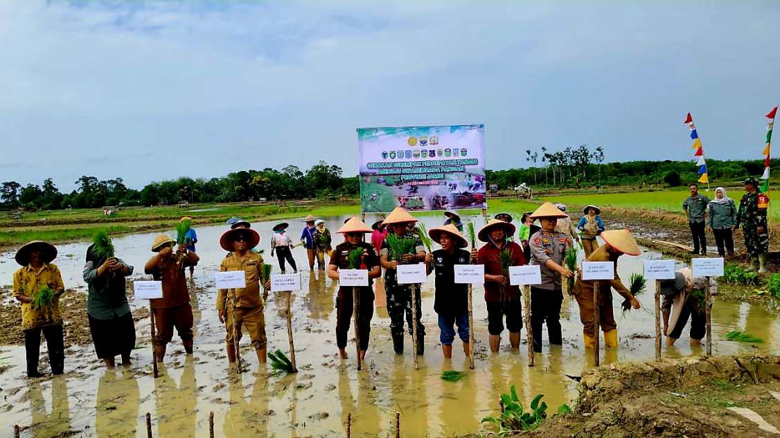 Polbangtan Kementan Dukung Gerakan Serempak Percepatan Tanam di Jambi