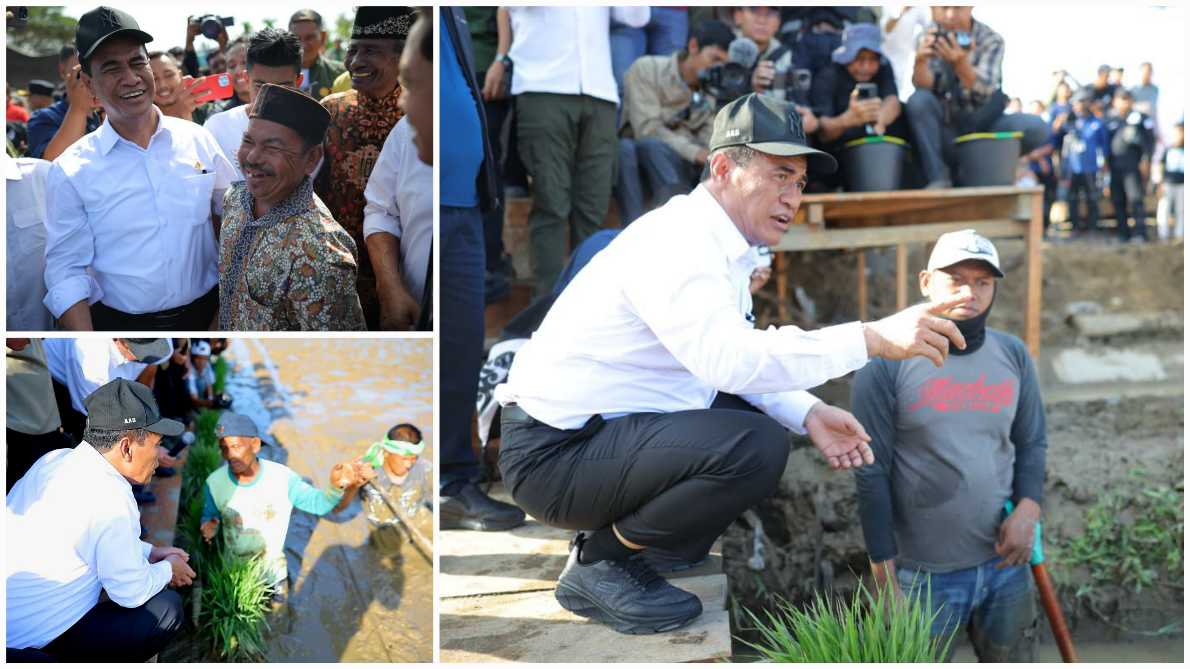 Siapkan Rp1,49 T, Kementan Ajukan Tambah Rp5,1 T Pulihkan Pertanian Sumatera Pasca Bencana