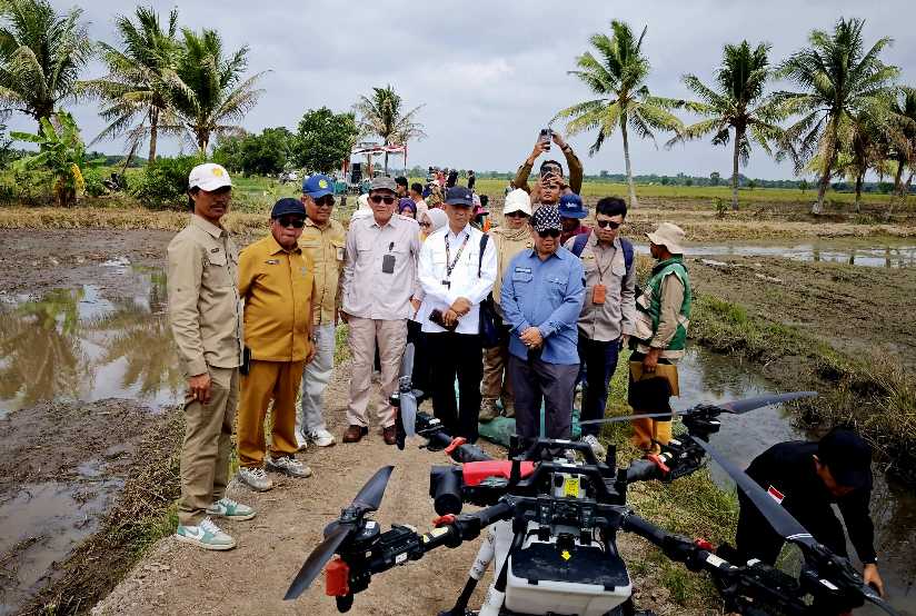 Millennial Farmers Development are the Target of   Indonesia`s SMKPPN Sembawa