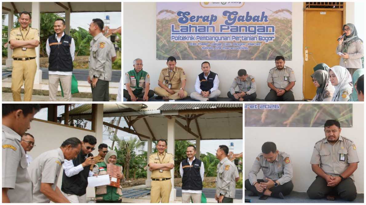 Ketahanan Pangan, Bulog Serap Gabah Lahan Produktivitas Polbangtan Kementan