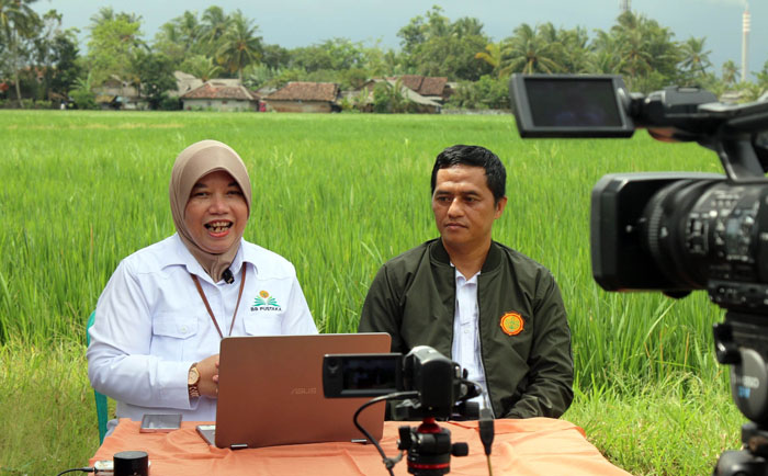 Bulog Serap Gabah Petani