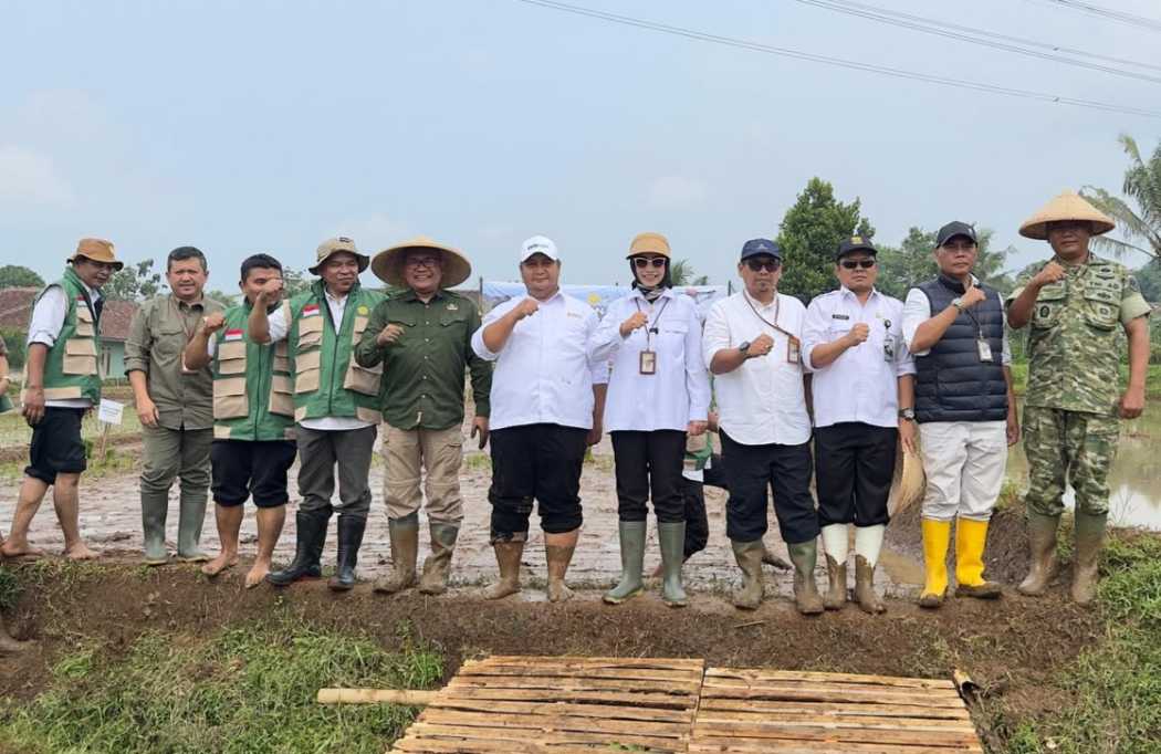Kementan Percepat Tanam Oplah dan CSR untuk Jaga Produksi Pangan