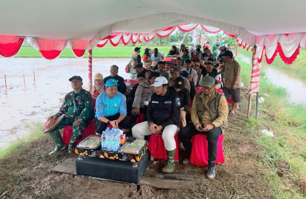 Oplah & CSR Kalteng, Kementan Perkuat Produksi Nasional Capai Swasembada<br><i>Millennial Farmers Development are the Target of Indonesia`s SMKPPN Banjarbaru</i> Millennial Farmers Development are the Target of Indonesia`s SMKPPN Banjarbaru