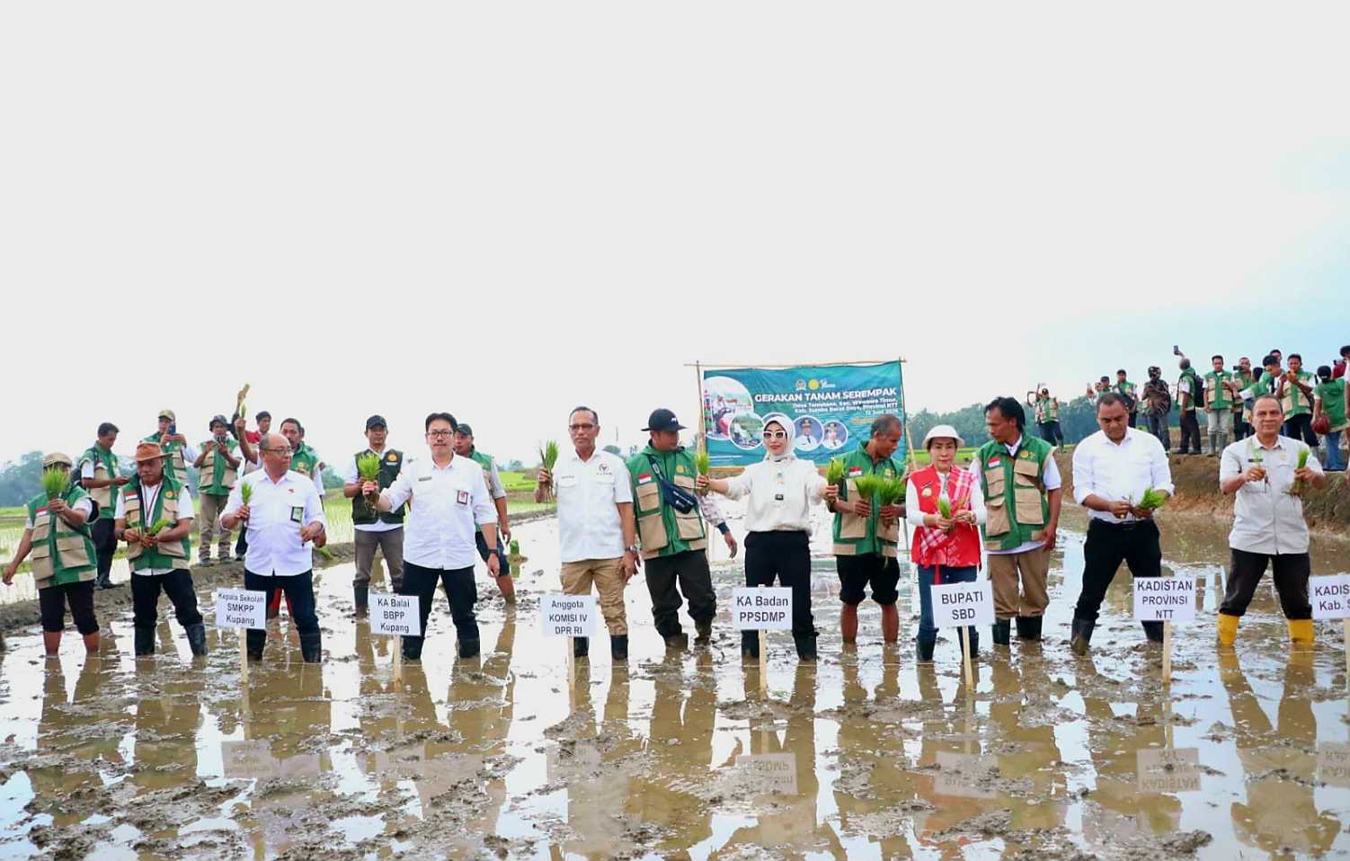 Optimalkan Oplah & CSR NTT, Kementan Perkuat Produksi Pangan Nasional<br><i>Indonesia Increases Rice Production through the Development of Smallholder Rice Fields</i> Indonesia Increases Rice Production through the Development of Smallholder Rice Fields