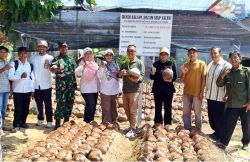 Kementan Percepat Pengembangan Benih Kelapa Enggano Kualitas Unggul 