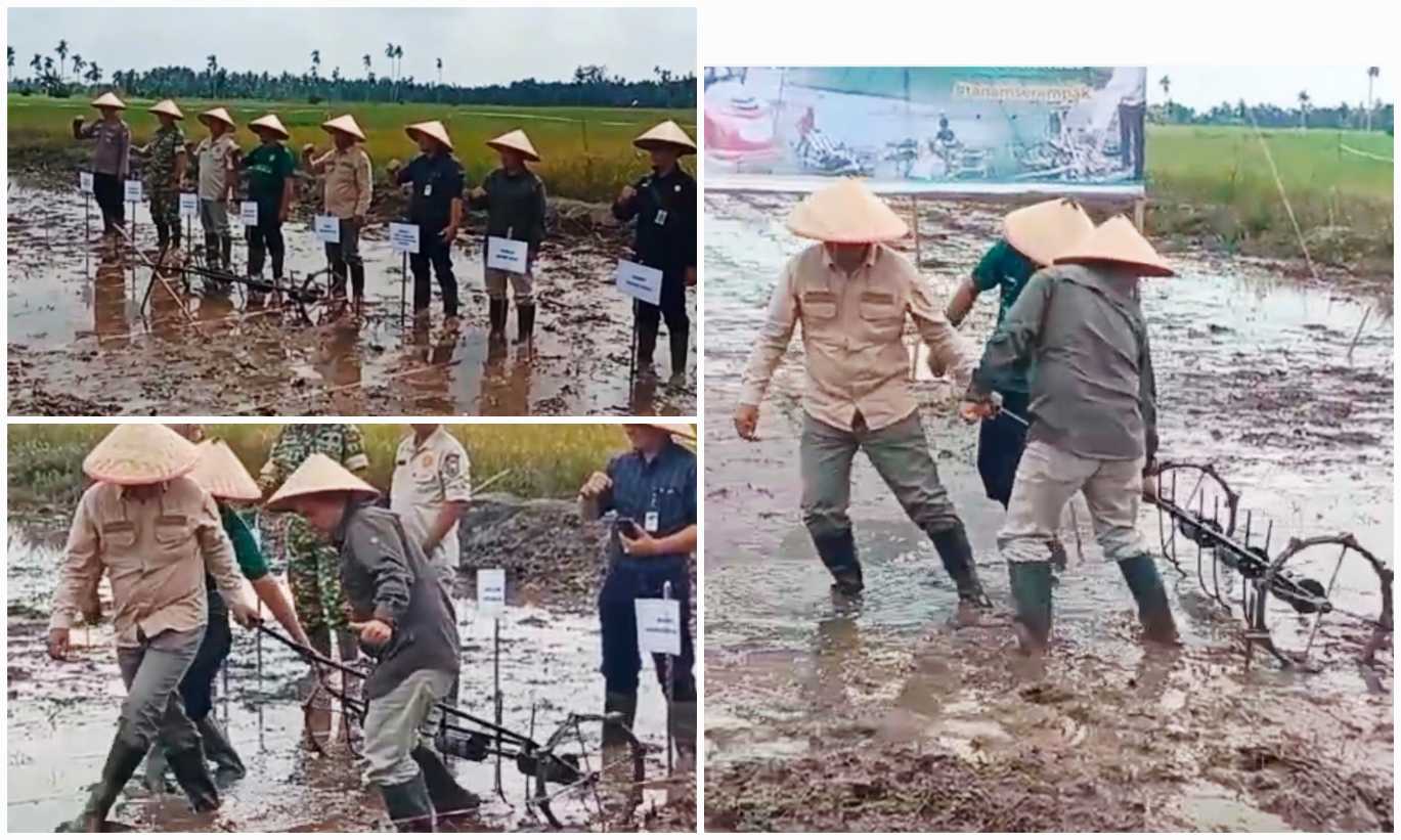 Tingkatkan Produksi, PM-AAS Jadi Andalan Gerakan Tanam Serempak di Riau<br><i>West Java`s Lembang Agricultural Training Center Support Indonesian Farmers</i> West Java`s Lembang Agricultural Training Center Support Indonesian Farmers