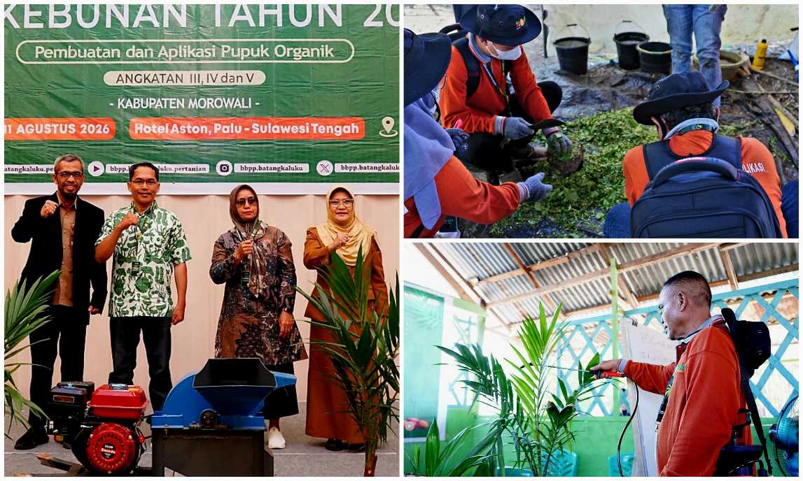 UPT Kementan Perkuat SDM Pekebun Sawit Morowali melalui Pelatihan Pupuk Organik<br><i>Sulawesi`s Batangkaluku Agricultural Training Center Support Indonesian Farmers</i> Sulawesi`s Batangkaluku Agricultural Training Center Support Indonesian Farmers