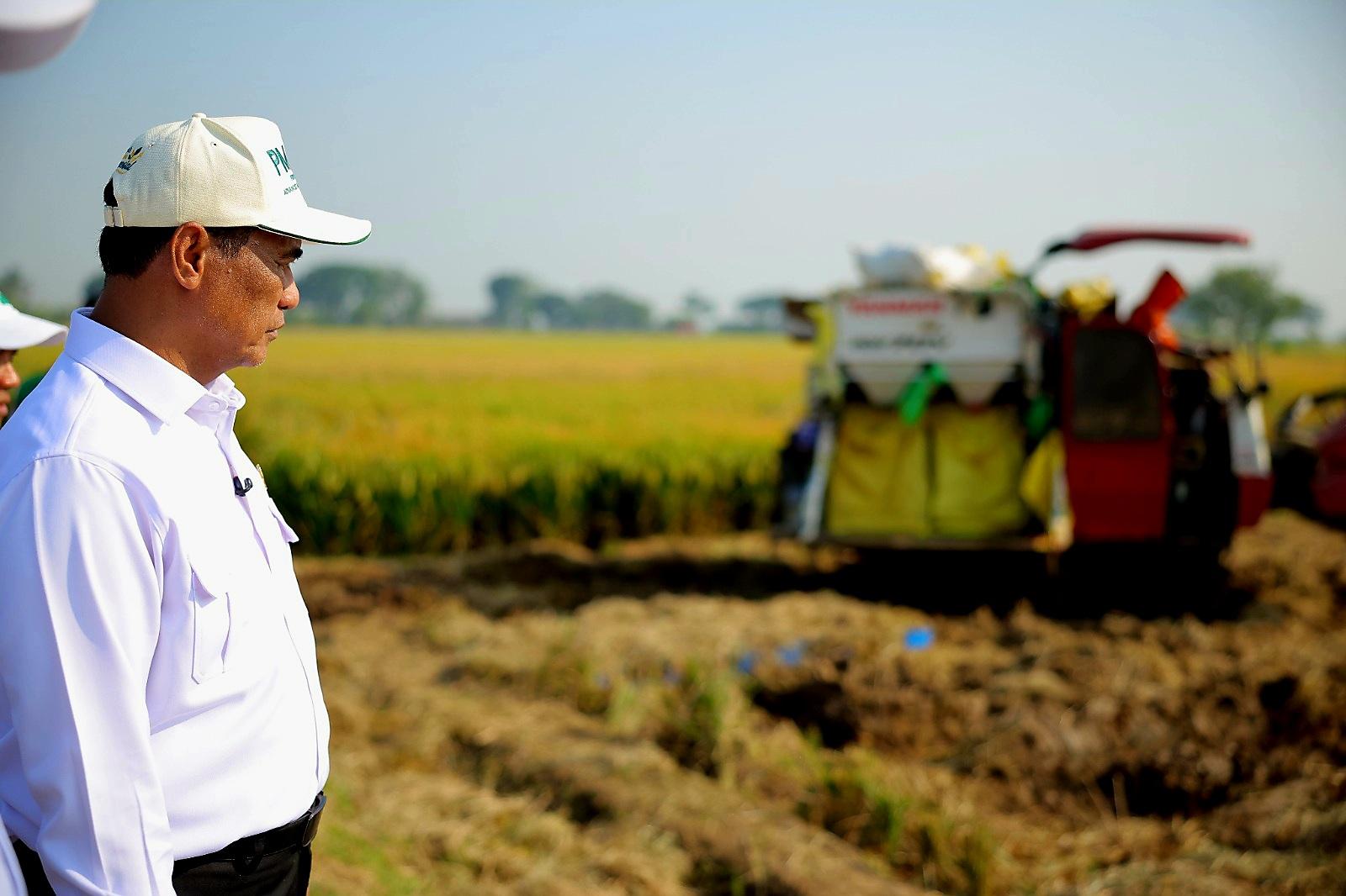 Mentan Amran: PM-AAS Gandakan Hasil Panen, Pendapatan Petani Ikut Naik<br><i>Indonesian Govt Support the Farmers to Increase National Food Production </i> Indonesian Govt Support the Farmers to Increase National Food Production