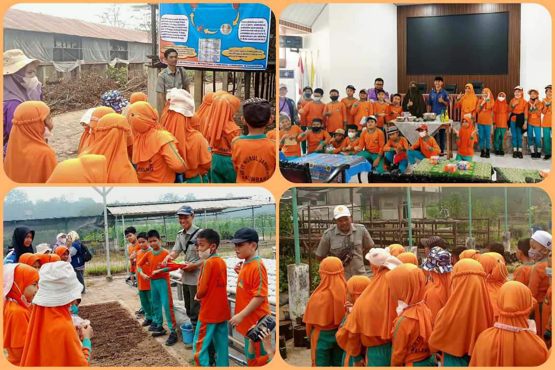 Kenal sejak Dini, Siswa SD Kunjungi Agroeduwisata SMKPPN Kementan di Banyuasin Sumsel<br><i>Millennial Farmers Development are the Target of Indonesia`s SMKPPN Sembawa</i> Millennial Farmers Development are the Target of Indonesia`s SMKPPN Sembawa