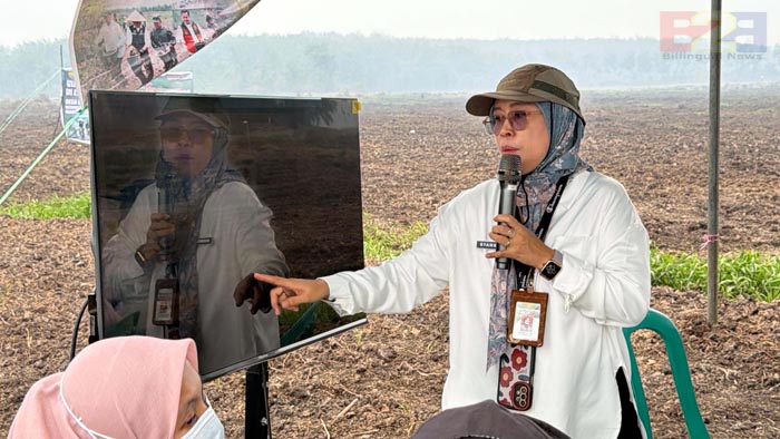 Kementan Percepat Tanam Banyuasin, Brigade Pangan Dukung CSR 496 Ha
