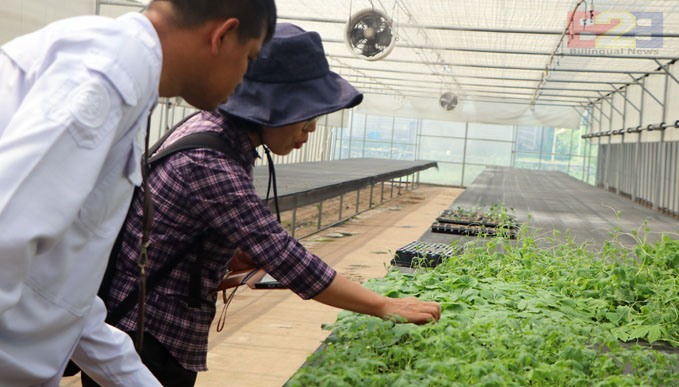 Evaluasi K-Smart Farm, Polbangtan Kementan Perkuat Keberlanjutan Smart Farming Indonesia<br><i>Millennial Farmers Development are the Target of Indonesia`s Polbangtan Bogor</i> Millennial Farmers Development are the Target of Indonesia`s Polbangtan Bogor