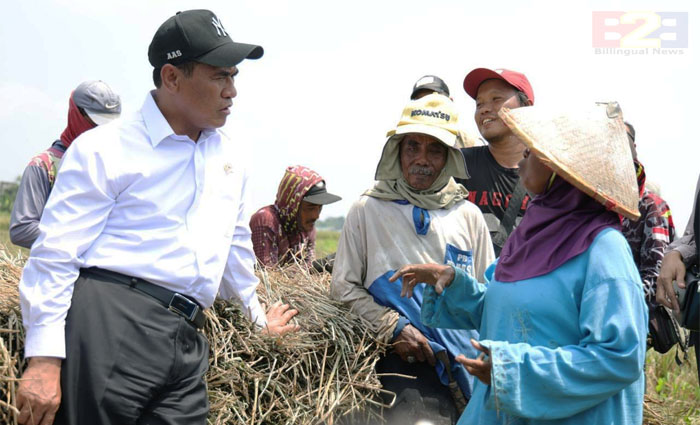 Kesejahteraan Petani Terus Menguat, NTP September 2026 Tembus 131,11