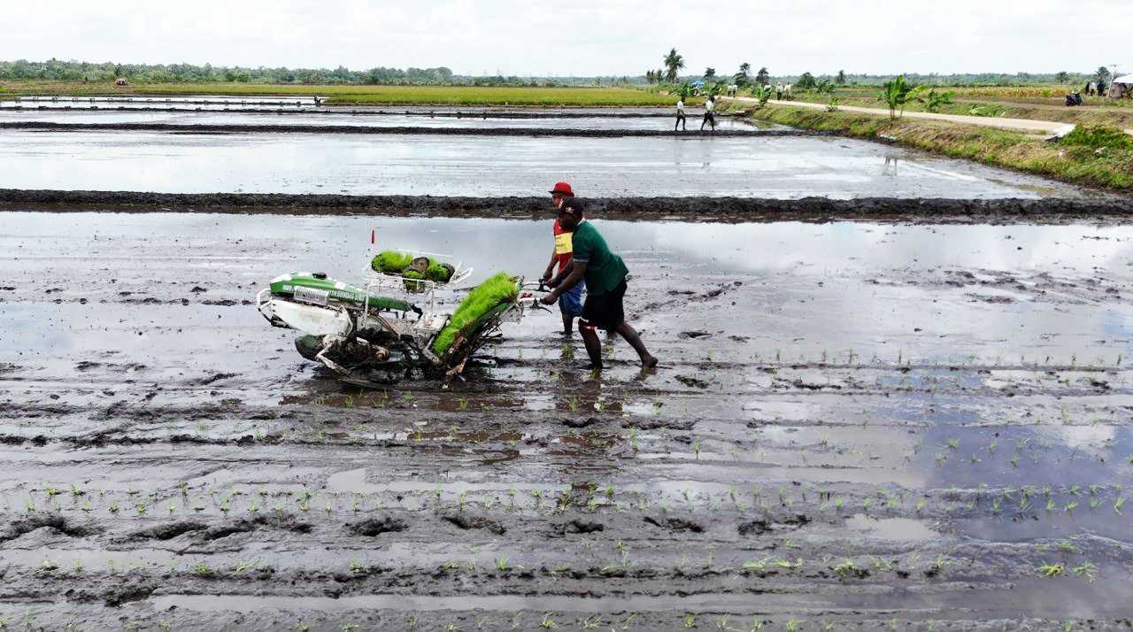 Dua Tahun Prabowo - Gibran, Perkuat Swasembada Pangan Berkelanjutan<br><i>Indonesian Govt Support the Farmers to Increase National Food Production</i> Indonesian Govt Support the Farmers to Increase National Food Production