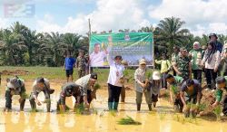 Tanam Serentak, Bengkulu Optimalkan Lahan CSR Dukung ketahanan Pangan