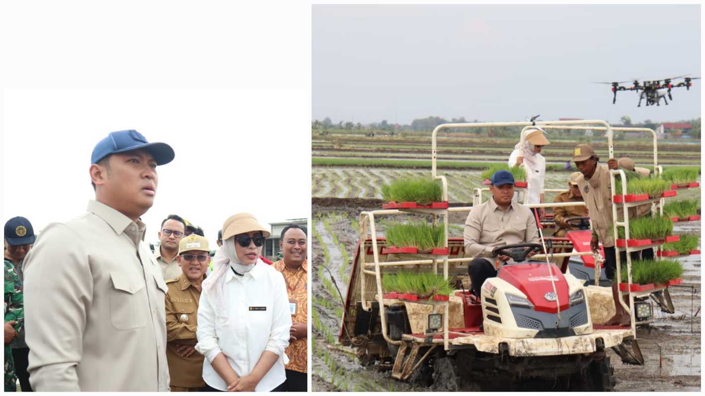 Indonesian Govt Formed the Food Brigade to Increase Food Production