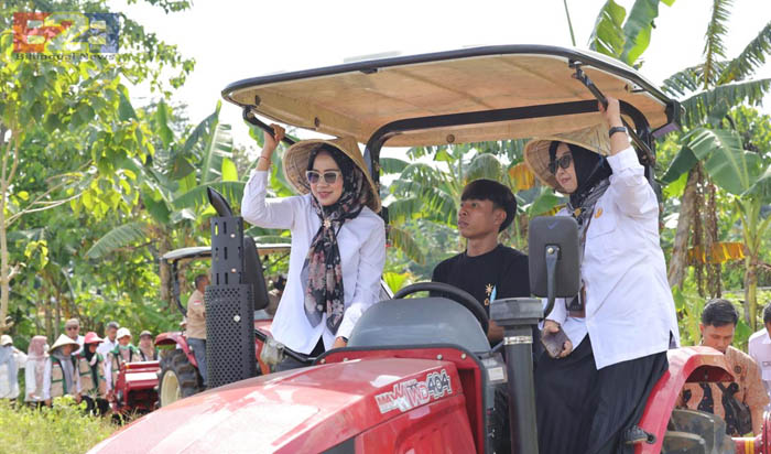 Sulawesi`s Batangkaluku Agricultural Training Center Support Indonesian Farmers