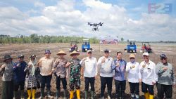 Akselerasi Swasembada Pangan Nasional, Kementan gelar Tanam Serentak 10.000 Ha