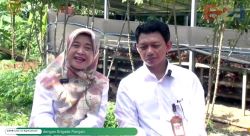 The Agricultural Library Support Indonesian Farmers to Attain Food Self-sufficiency