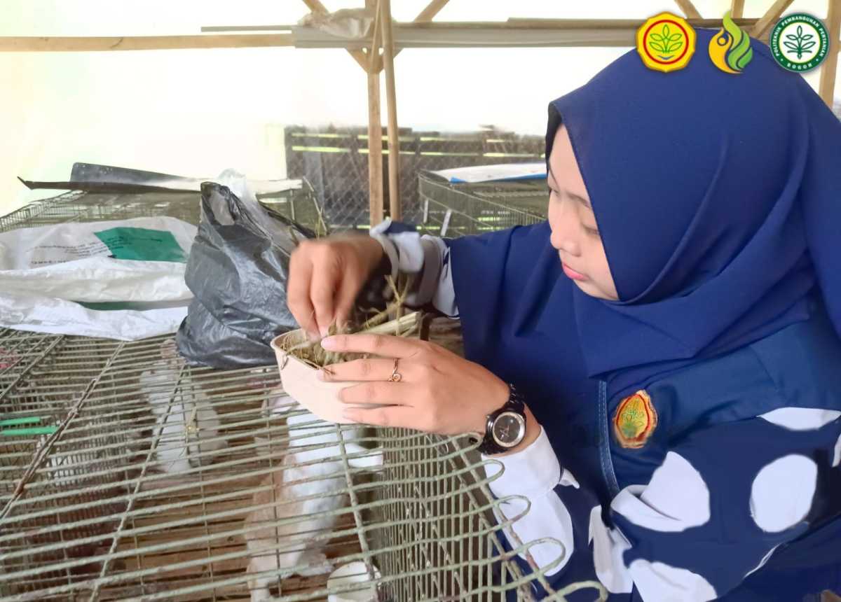 Millennial Farmers Development are the Target of Indonesia`s Polbangtan Bogor