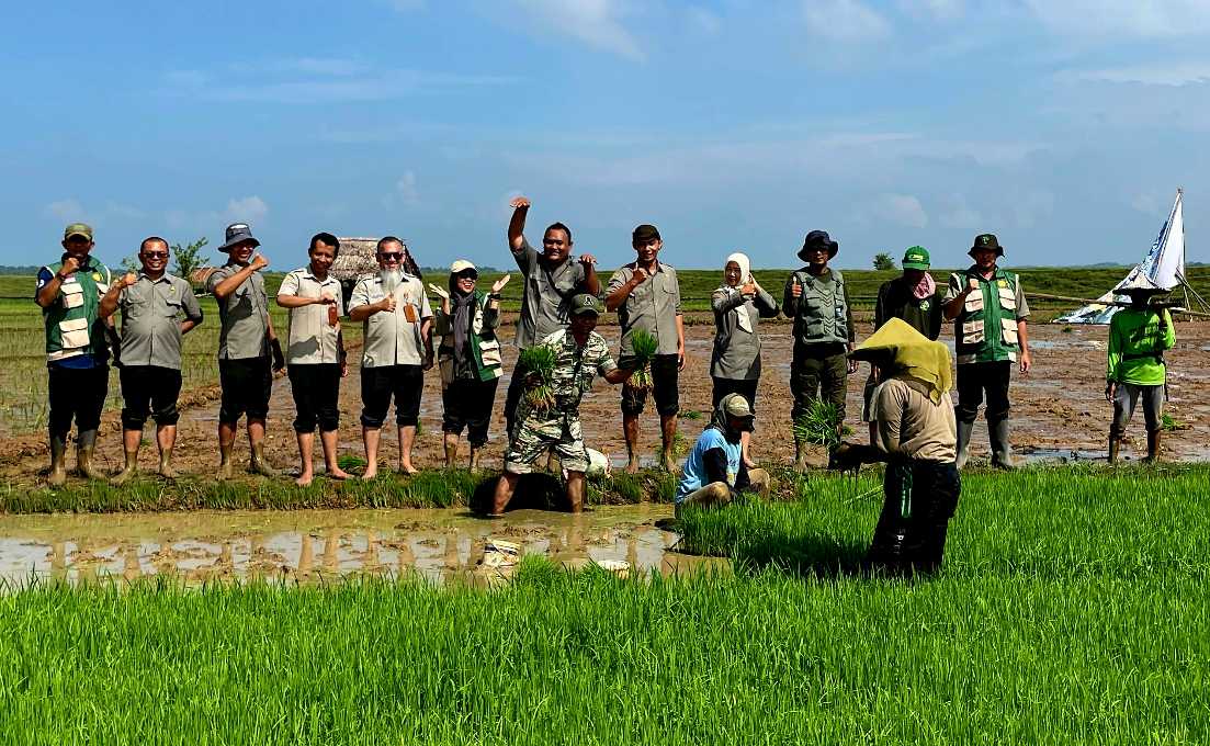 The Agricultural Library Support Indonesian Farmers in Achieving Food Self-sufficiency