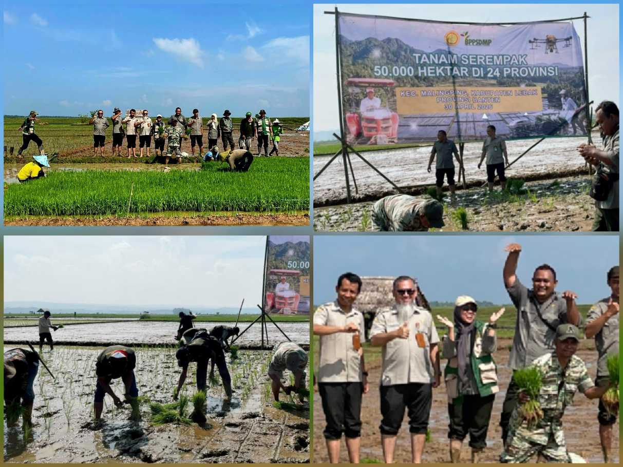 Antisipasi Kekeringan, Kementan & Pemprov Banten Gertam Serempak 50 Ribu Ha