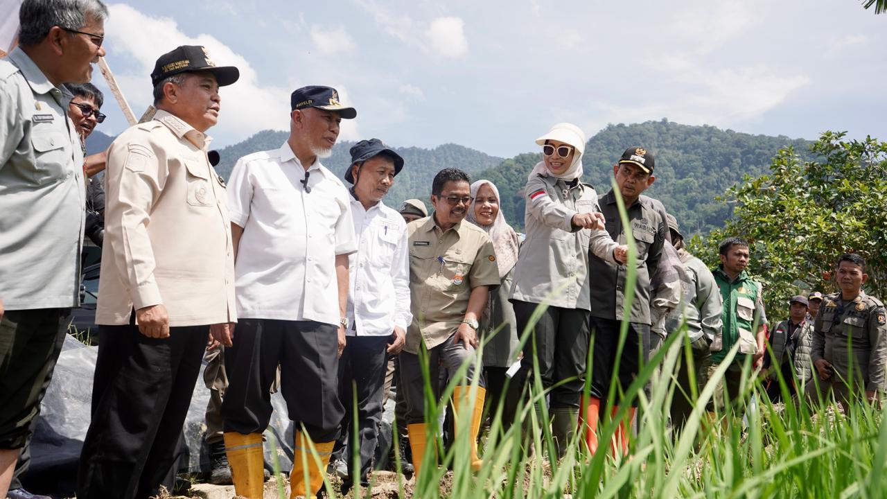 Indonesian Govt Increase of Rice Production across the Country