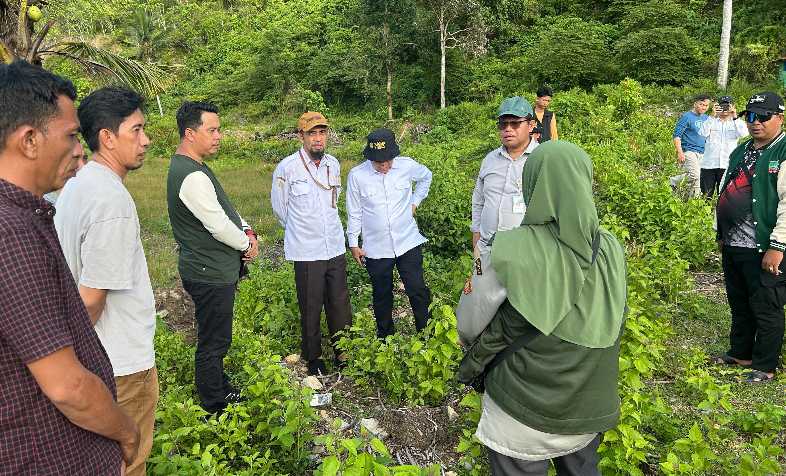 Sulawesi`s Batangkaluku Agricultural Training Center Support Indonesian Farmers