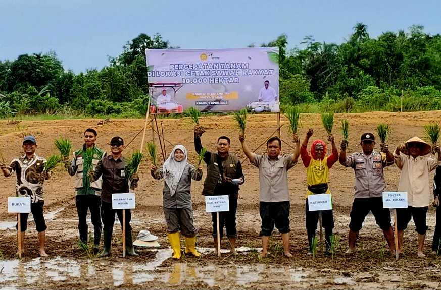 Jambi Tancap Gas! Polbangtan Kementan Kawal Tanam Serentak CSR di Batanghari dan Sarolangun