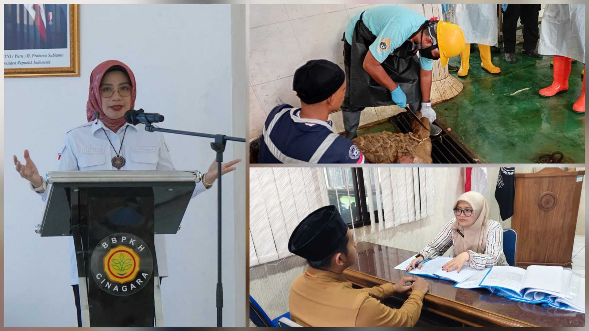 Gerakan Sadesa Juleha, UPT Kementan Perkuat Kompetensi Juru Sembelih Halal<br><i>West Java`s Cinagara Animal Health Training Center Support Indonesian Farmers</i> West Java`s Cinagara Animal Health Training Center Support Indonesian Farmers