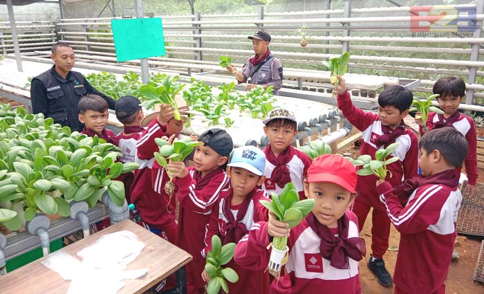 Millennial Farmers Development are the Target of Indonesia`s Polbangtan Bogor