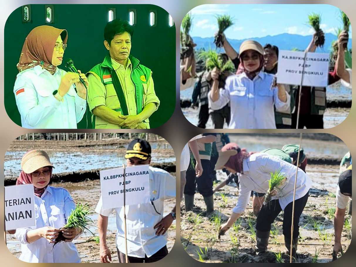 Swasembada Pangan, UPT Kementan Kawal Gertam Serentak Bengkulu<br><i>West Java`s Cinagara Animal Health Training Center Support Indonesian Farmers</i> West Java`s Cinagara Animal Health Training Center Support Indonesian Farmers