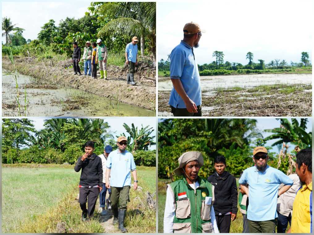 CSR Luwu Utara, Perluas Lahan Produksi Dukung Swasembada Pangan<br><i>Sulawesi`s Batangkaluku Agricultural Training Center Support Indonesian Farmers</i> Sulawesi`s Batangkaluku Agricultural Training Center Support Indonesian Farmers