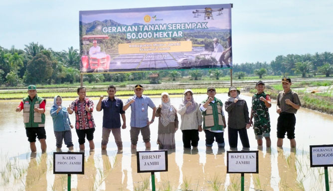 Petani Milenial Jambi, Polbangtan Kementan Dukung Gertam Serempak 50 Ribu Hektar