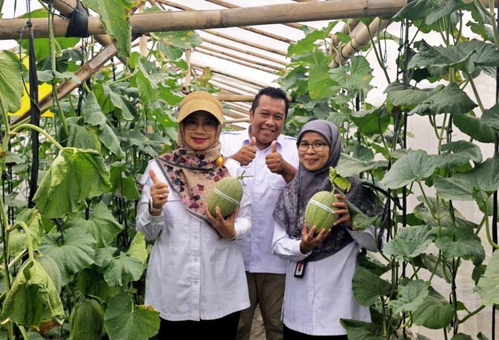 Pembinaan P4S, Kementan Dorong Lembaga Pelatihan Swadaya di DIY kian Mandiri & Berdaya Saing<br><i>West Java`s Cinagara Animal Health Training Center Support Indonesian Farmers</i> West Java`s Cinagara Animal Health Training Center Support Indonesian Farmers