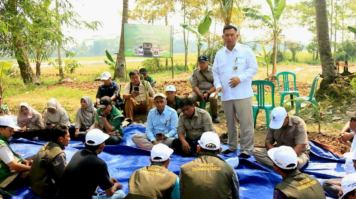 The Agricultural Library Support Indonesian Farmers in Achieving Food Self-sufficiency