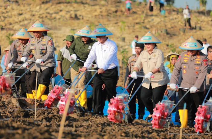 Tanam Jagung Serentak bersama Polri, Mentan: Bukti Sinergi Pemerintah untuk Sektor Pertanian